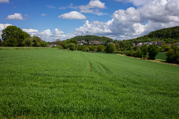 Schöne, grüne Frühlingslandschaft im Kraichgau, Deutschland, mit Getreidefeld im Vordergrund und einem Dorf mit Fernsehturm im Hintergrund.