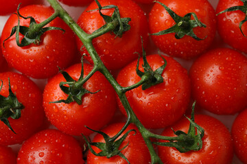 Fresh cherry tomato on whole background, close up