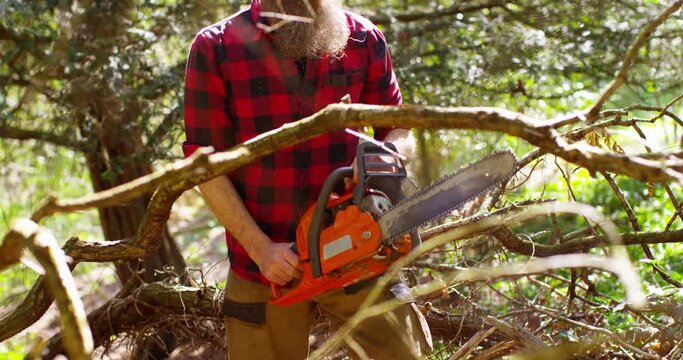Lumberjack logger worker in protective gear cutting firewood timber tree in forest with chainsaw