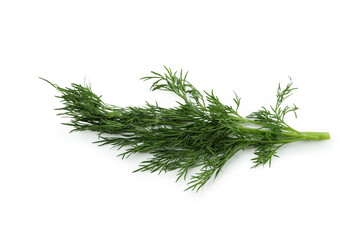 Fresh green dill isolated on white background