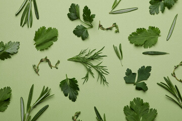 Fresh herbs on green background, top view