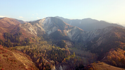 Naklejka premium Autumn mountain forest. Top view from a drone. The bright colors of the trees. Green, orange, red, yellow - all colors. A mountain river is visible. There was a mudslide, a strong collapse of the rock