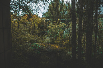 Pripyat, a ghost town, the consequences of a disaster, what a city without people looks like now, Ukraine, Chernobyl