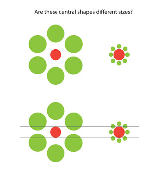 An optical illusion (also called a visual illusion) is an illusion caused by the visual system and characterized by a visual percept that arguably appears to differ from reality.