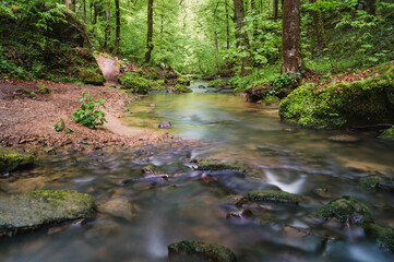 Mullerthal, la suisse luxembourgeoise