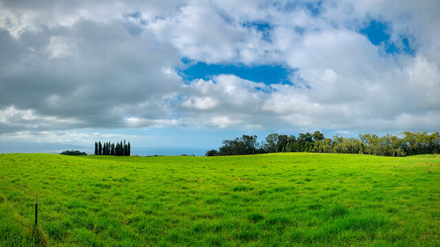 rolling green hills with trees and clouds in panorama background format