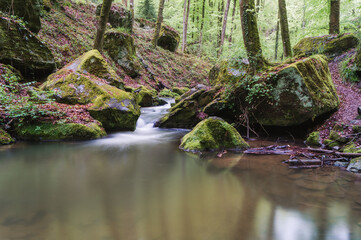 Mullerthal, la suisse luxembourgeoise