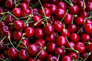 cherries in the market