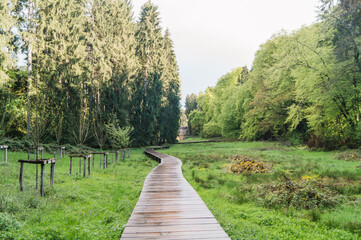 Mullerthal, la suisse luxembourgeoise