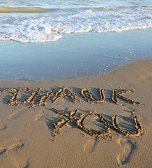big inscription Thank you on the sea beach and the wave that is about to arrive