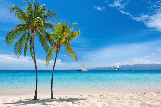 Sunny tropical white sand beach with coco palms and the turquoise sea on Jamaica Caribbean island.	