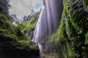 Madakaripura Waterfall, a beautiful waterfall in the middle of the nature rich forests on East Java of Indonesia.