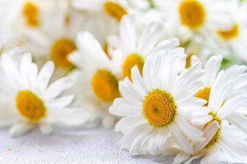 Obraz premium White daisy flowers as a summer background