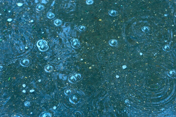 blue background puddle of rain / raindrops, circles on a puddle, bubbles in the water, the weather is autumn