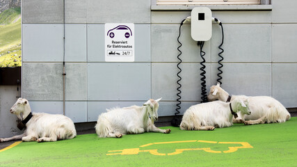 Ladestation für Elektroautos 