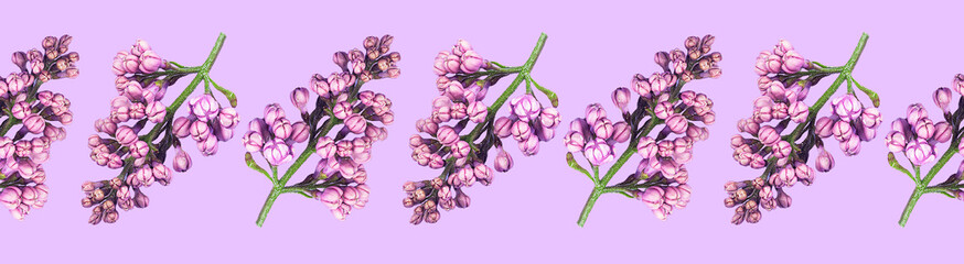 Seamless banner of lilac branches with closed buds on a purple background