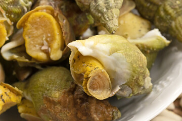 plusieurs bulots cuits en gros plan