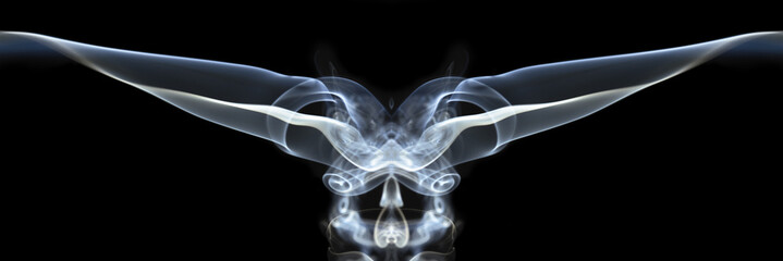 Colorful abstract Swirls of smoke against a black background that resemble an alien, monster that...