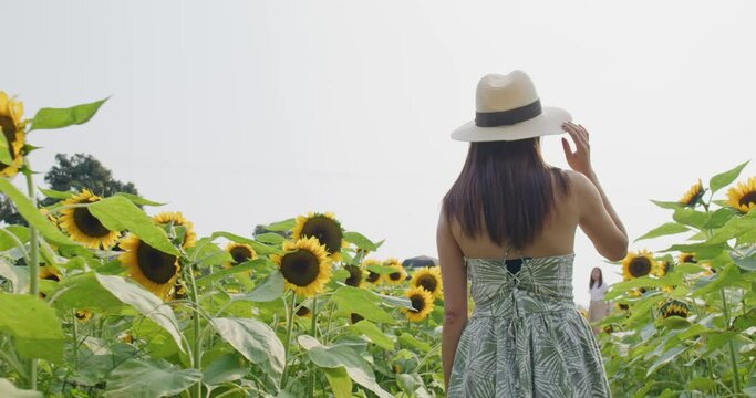 Woman enjoy visit sunflower farm