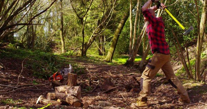 Man holding heavy axe and chopping or cutting wood trunks