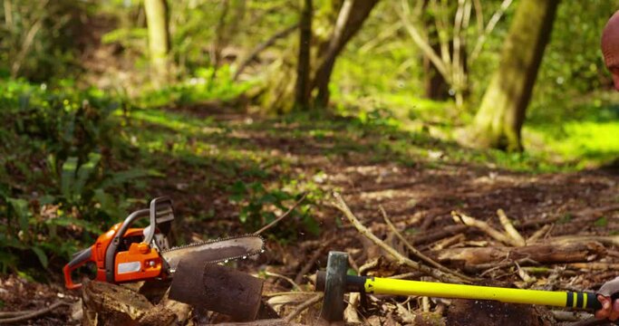 A lumberjack is holding an axe ready to chop logs in a forest