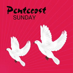 Vector illustration of a Background for Pentecost Holy spirit dove.