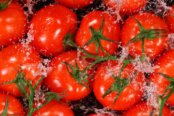Falling fresh harvested tomatoes, water splash during impact, top view
