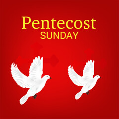 Vector illustration of a Background for Pentecost Holy spirit dove.