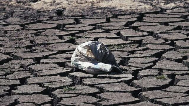 Drought and prairie littering. An old plastic bag that the wind swings on the cracked ground