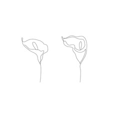 Modern minimalist one line drawing of anthorium flowers set, isolated on white background.