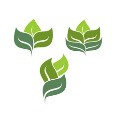 green leaf icons design template vector
