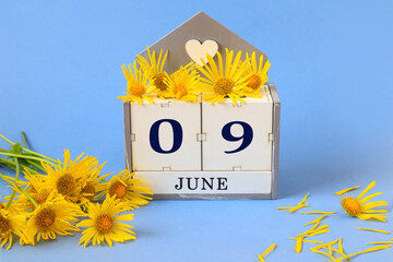 Calendar for June 9: cubes with the numbers 0 and 9 , the name of the month of June in English, yellow chamomile scattered on a blue background