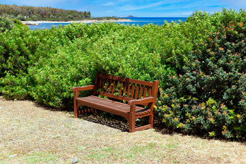 Obraz premium Empty and isolated wooden bench surrounded by green bushes under the rays of the sun with a blue sky of a sunny day. Concept of loneliness, hospitality or inner emptiness.