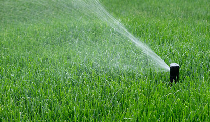Automatic garden irrigation system watering lawn. Savings of water from sprinkler irrigation system with adjustable head. Automatic equipment for irrigation and maintenance of lawns, gardening.