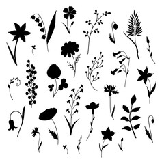Set of silhouettes of herbs and flowers. Collection of isolated elements on a white background.