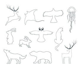 Hand drawn vector isolated illustration of animals outlines. Icons of hare, deer, wolf, bear, owl, whale, stingray, jellyfish, panther, eagle.
