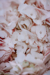 Blurred background of pastel pink flower petals. Vertical