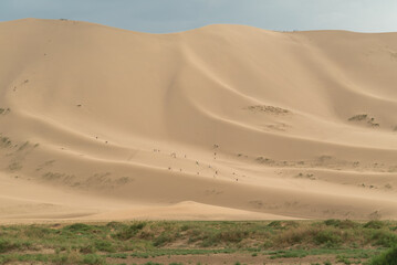 Fototapeta na wymiar Hongoryn els sand dunes in the gobi desert mongolia