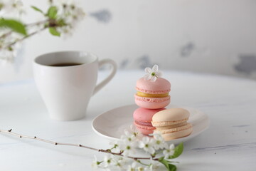 macaroons and coffee
