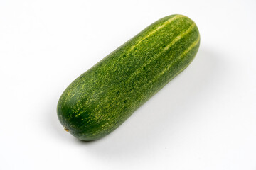 加賀野菜　加賀太きゅうり