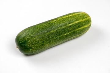 加賀野菜　加賀太きゅうり