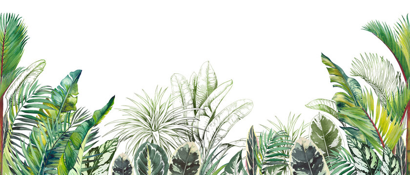 Seamless tropical border with green palm foliage. Watercolor and graphic illustration on white.