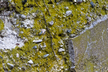 Time and Water