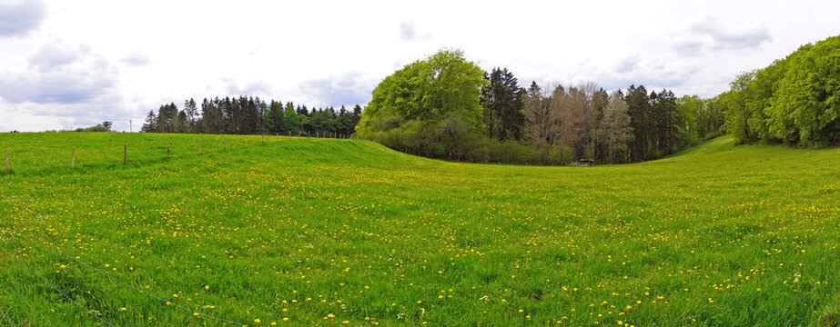 Wandern im Nationalpark Eifel