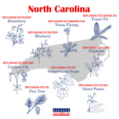 North Carolina. Set of USA official state symbols © foxyliam