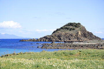 爪木崎 (静岡 伊豆 下田)