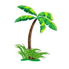 Vector illustration of a coconut palm tree in cartoon style on a white background.