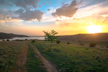 green landscape with lake