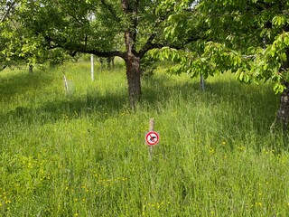 Auf dieser Streuobstwiese in Esslingen steht ein Schild, dass Hunde dort nicht ihr Geschäft...