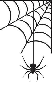 spider and web vector illustration